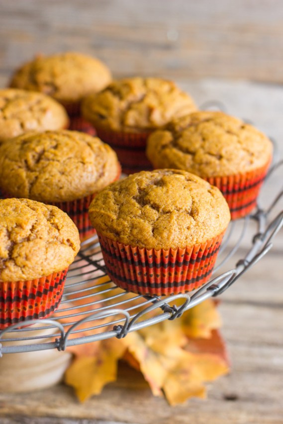 Best-Ever-Pumpkin-Muffins-2