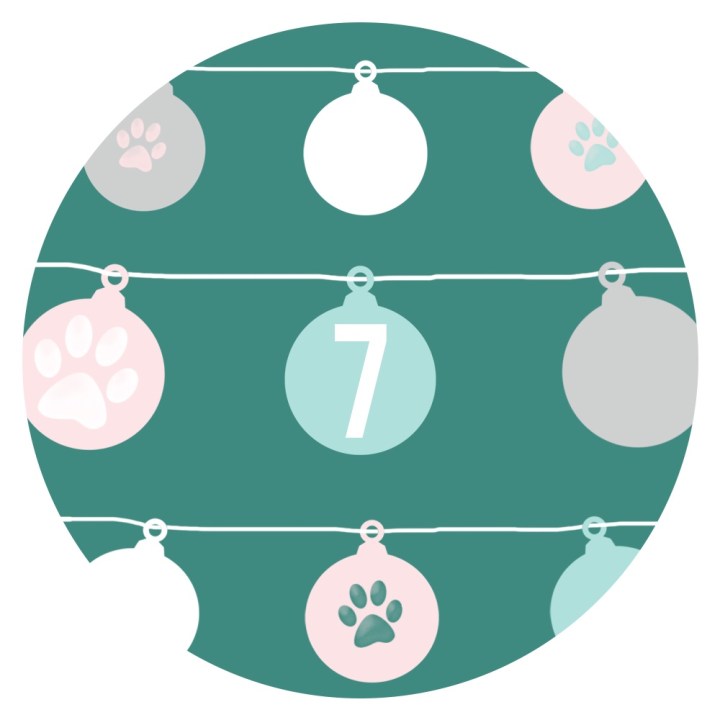 12 Days of Catmas – Day&nbsp;7