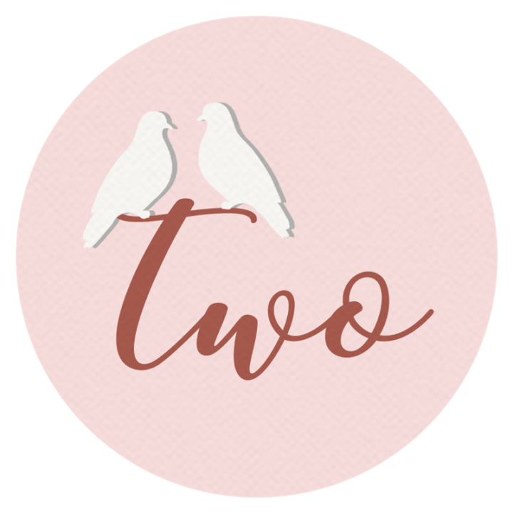 12 Days of Catmas – Day&nbsp;2