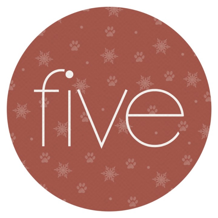 12 Days of Catmas – Day&nbsp;5